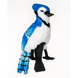 Daphnes Eichelhäher Blue Jay Headcover