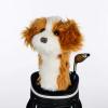Daphne's Cavapoo Zwergpudel Headcover